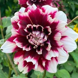 Meet your Posher, Stephen